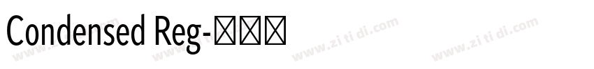 Condensed Reg字体转换 Condensed Reg字体转换